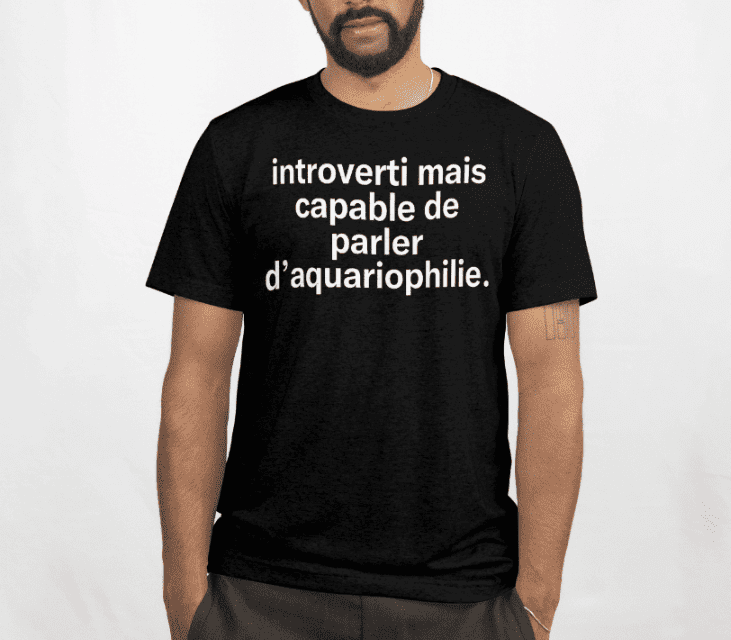 Introverti