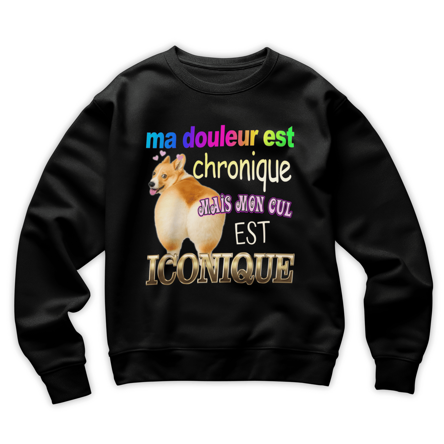 Sweat-shirt "Iconique"