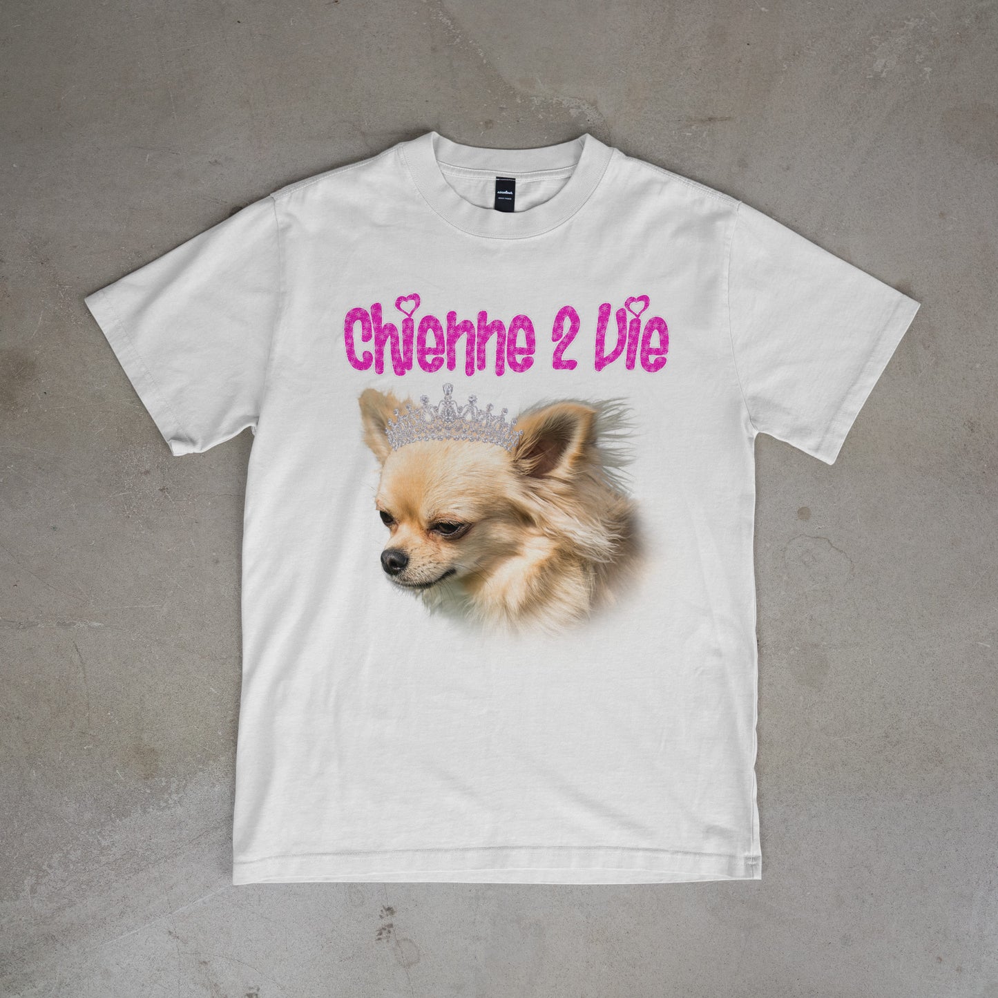 Chienne 2 vie