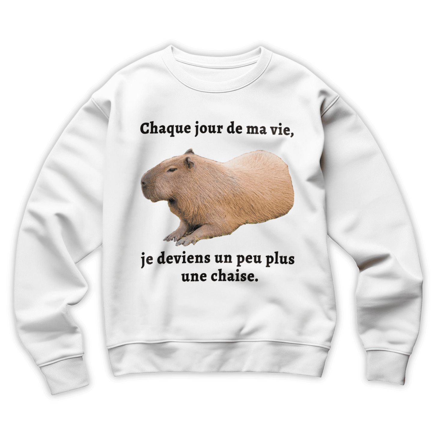 Sweat-shirt "Chaque jour de ma vie"
