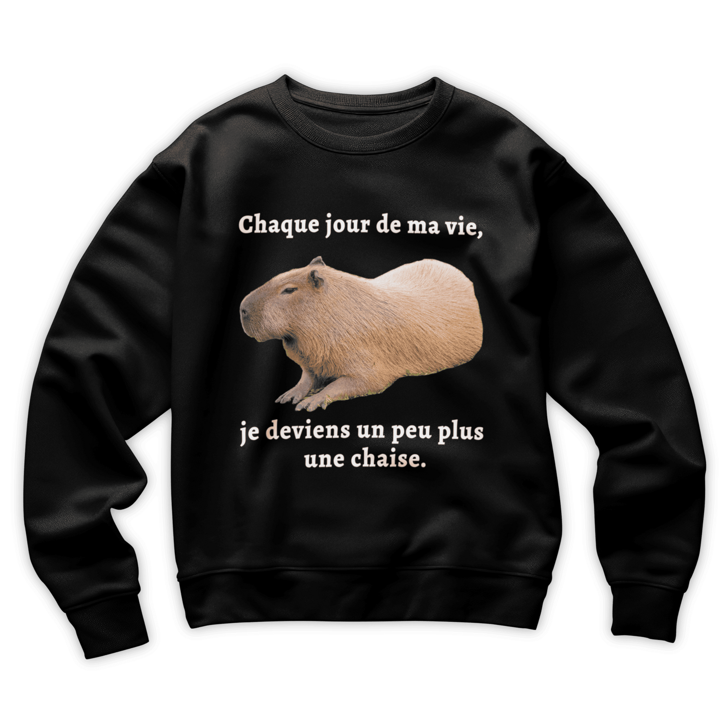 Sweat-shirt "Chaque jour de ma vie"