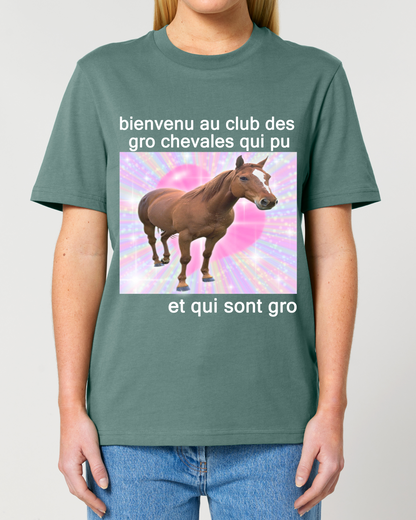 Gro chevales qui pu
