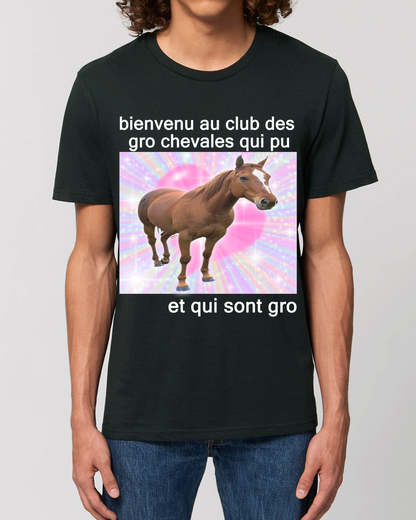 Gro chevales qui pu