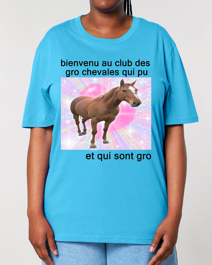 Gro chevales qui pu