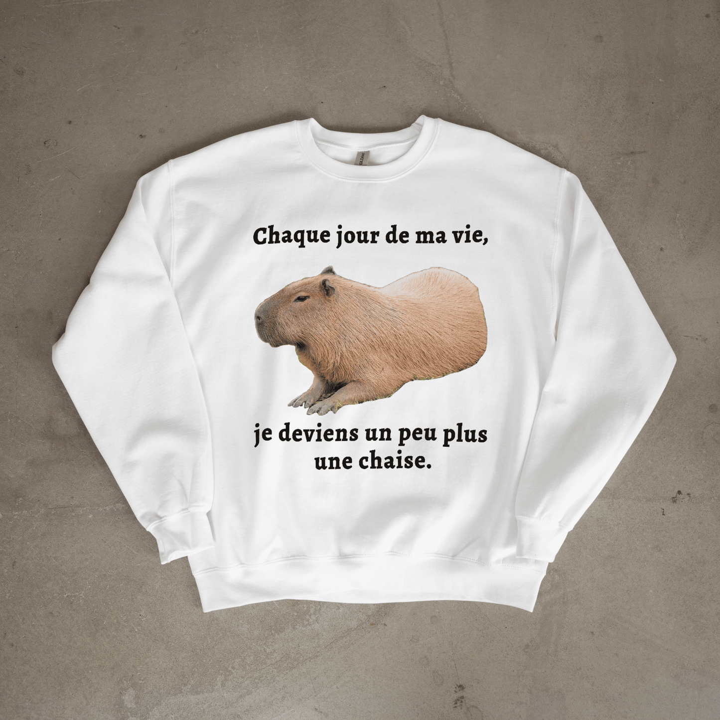 Sweat-shirt "Chaque jour de ma vie"