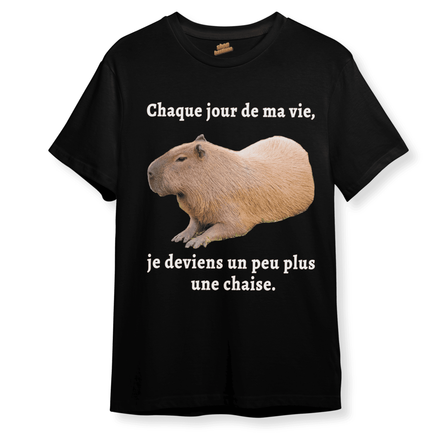 Chaque jour de ma vie