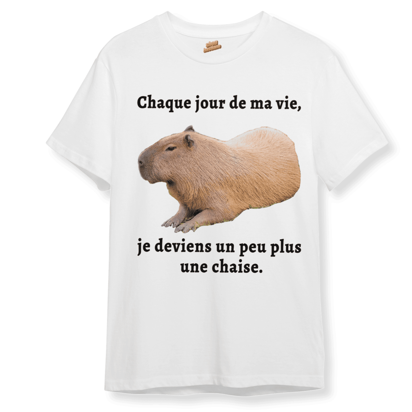 Chaque jour de ma vie